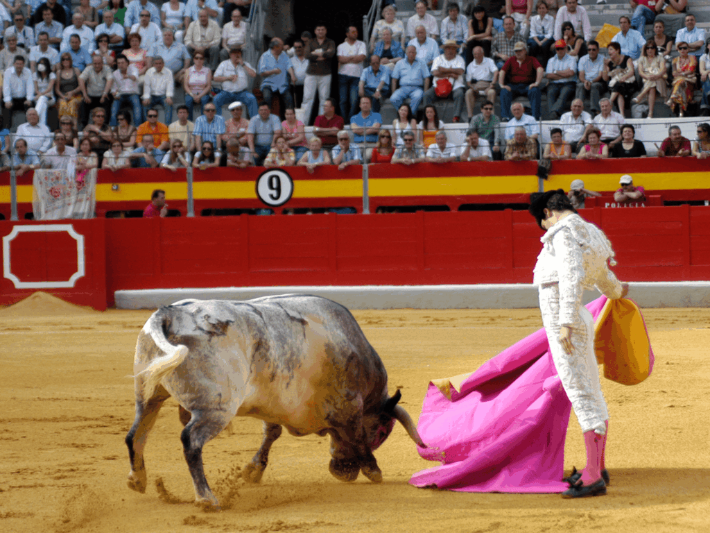 Asistencia sanitaria para eventos taurinos